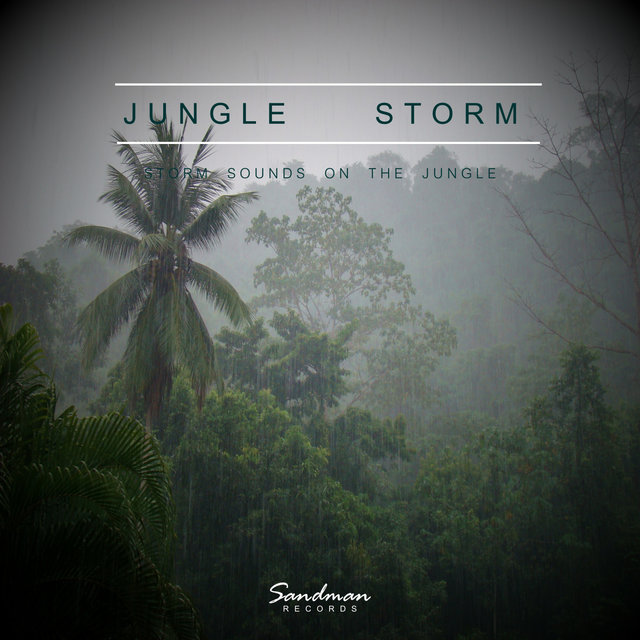 Jungle Storm - Storm Sounds On The Jungle