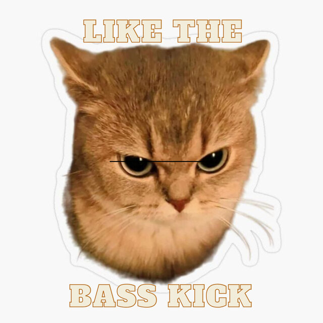 Like The Bass Kick