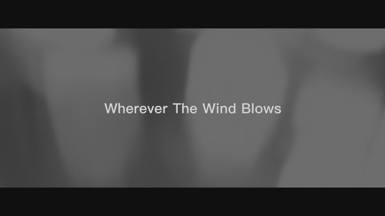 ZHANGYE, KARRA - Wherever The Wind Blows