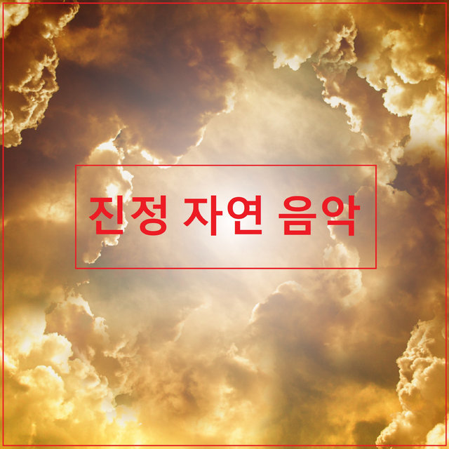진정 자연 음악