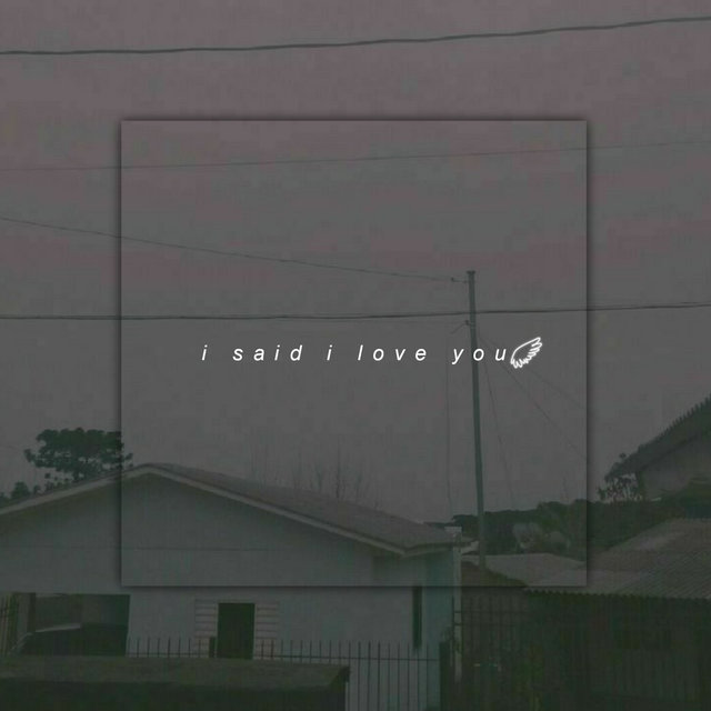 I Said I Love You
