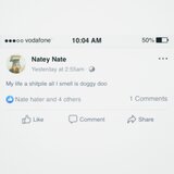 Shitpile