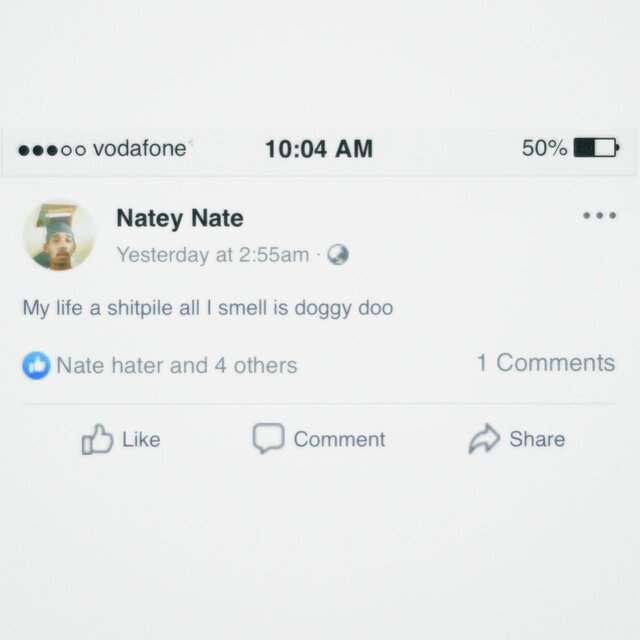 Shitpile