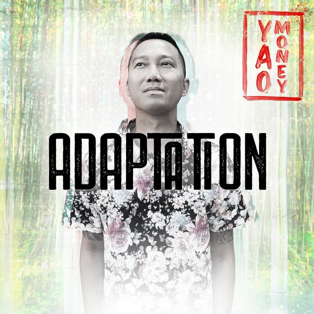 Adaptation
