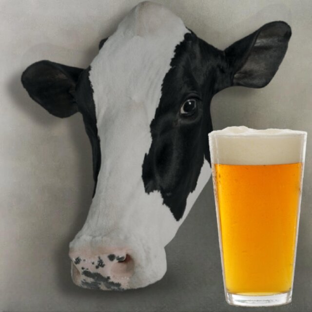My Beautiful Beer