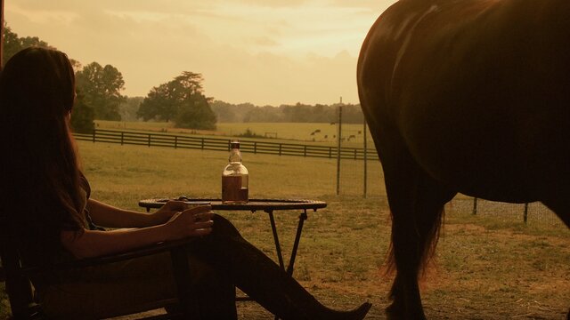 Like My Whiskey