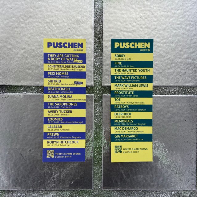 Cover art for album Puschen Hitlist by User