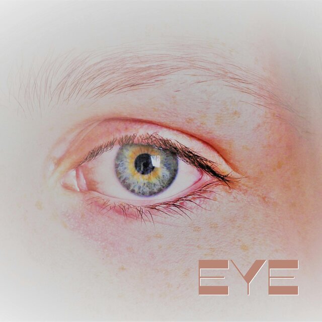 Eye