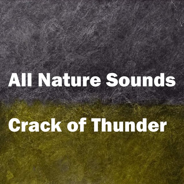 Crack of Thunder