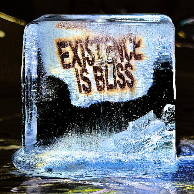 Cover art for album Existence is Bliss by Deadletter