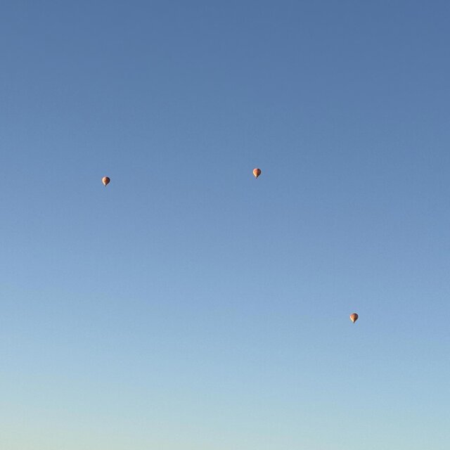 631