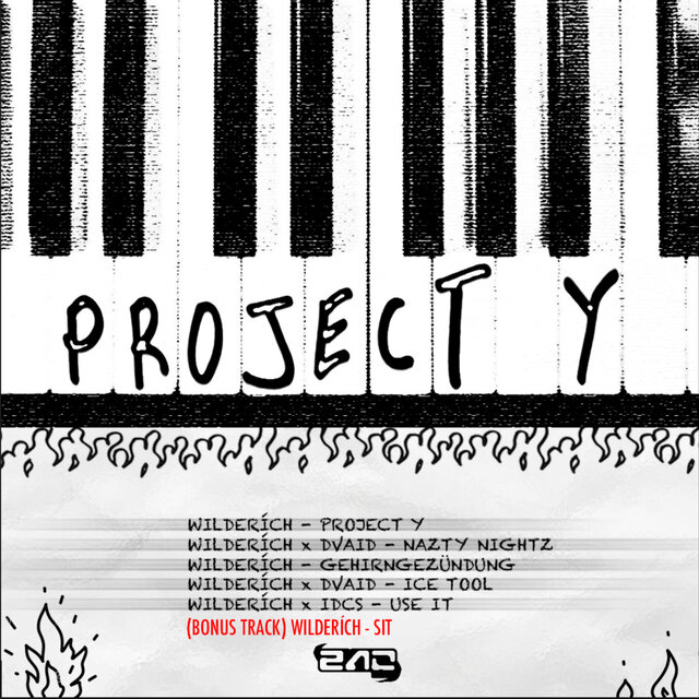PROJECT Y