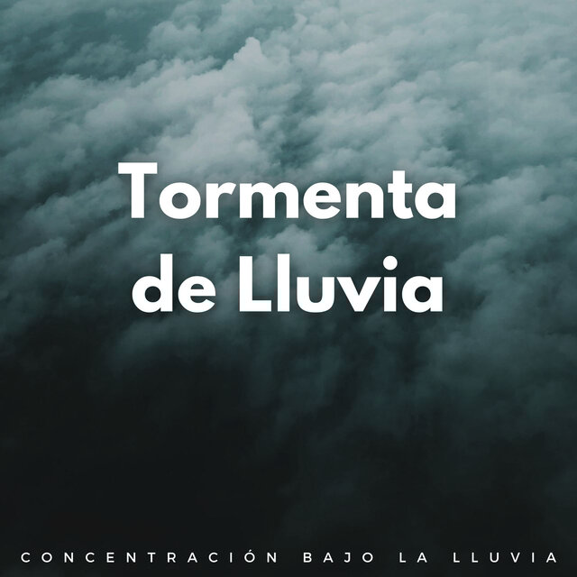 Tormenta De Lluvia: Concentración Bajo La Lluvia