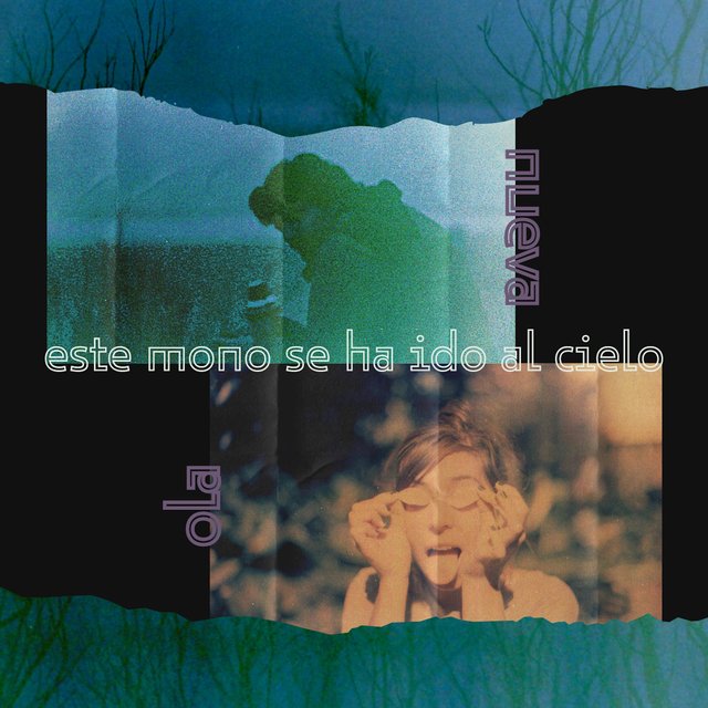 Este Mono Se Ha Ido al Cielo