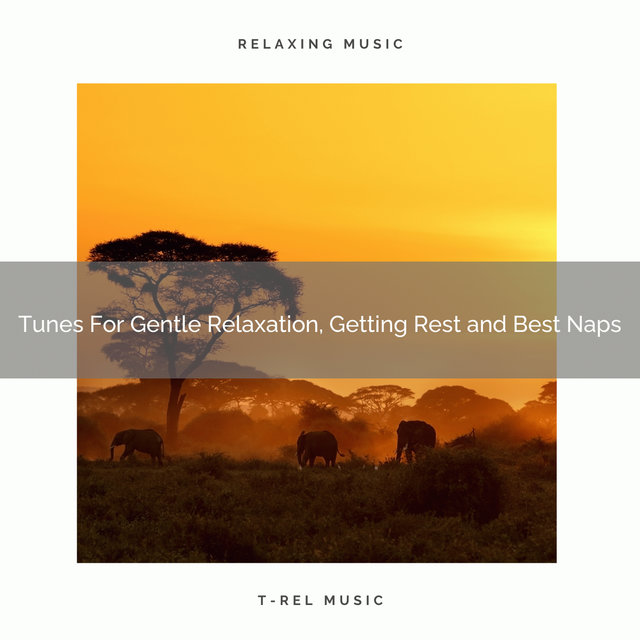 Tunes For Gentle Relaxation, Getting Rest and Best Naps