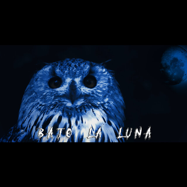 Bajo la Luna