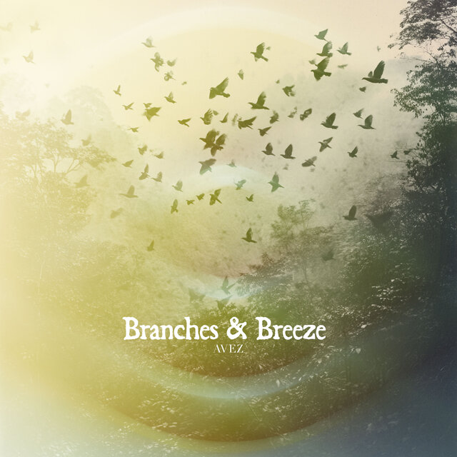 Branches & Breeze