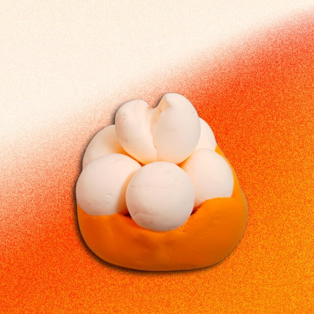 // bloom