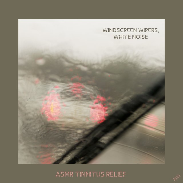 Windscreen Wipers, White Noise