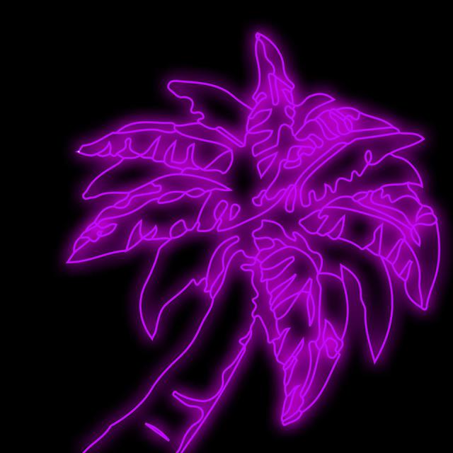 Summer Groove