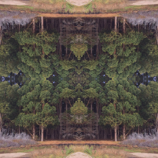 Tune in, Ground Down