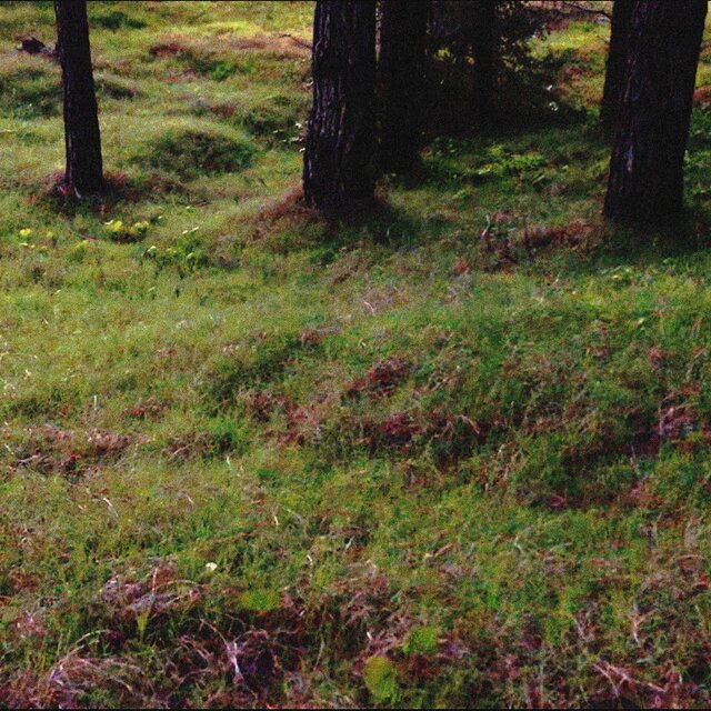 Music for Breathing Without Assistance