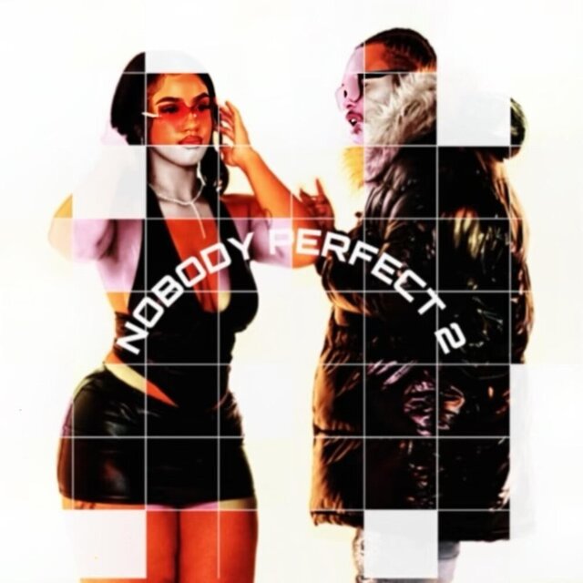Nobody Perfect 2