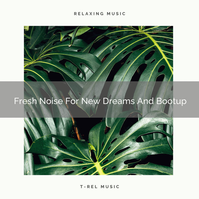 Fresh Noise For New Dreams And Bootup