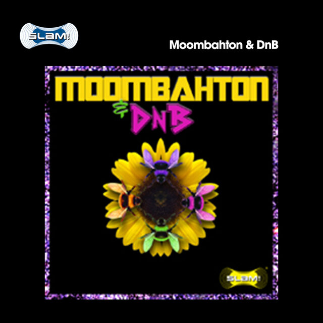 Moombahton & DnB