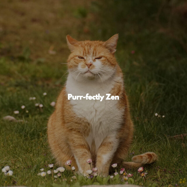 Purr-fectly Zen