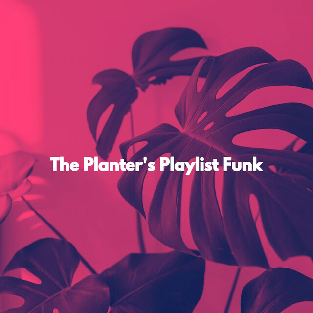 The Planter's Playlist Funk