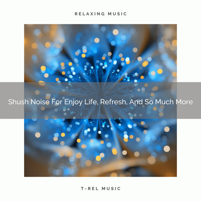 Shush Noise For Enjoy Life, Refresh, And So Much More