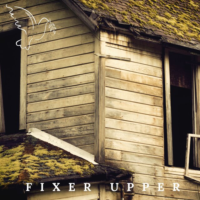 Fixer Upper