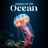 Sperm Whale Sound To Deep Sleep