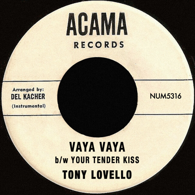 Vaya Vaya b/w Your Tender Kiss