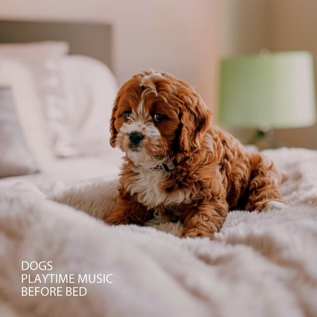 Dogs: Playtime Music Before Bed
