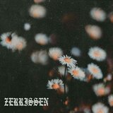 Zerrissen