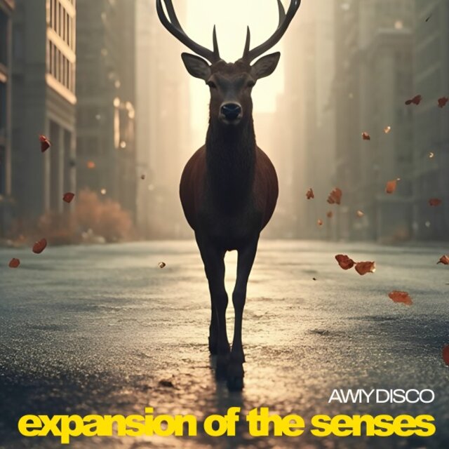 Expansion of the Senses