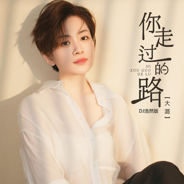 你走过的路 (Dj浩然版)
