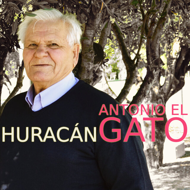 Huracán Gato