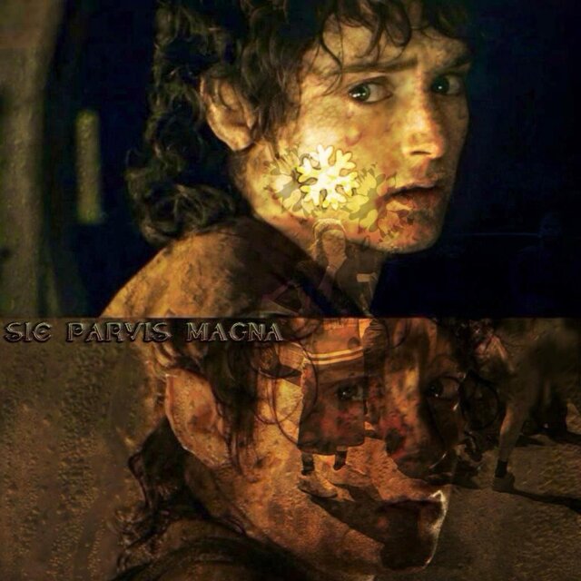 Sic Parvis Magna