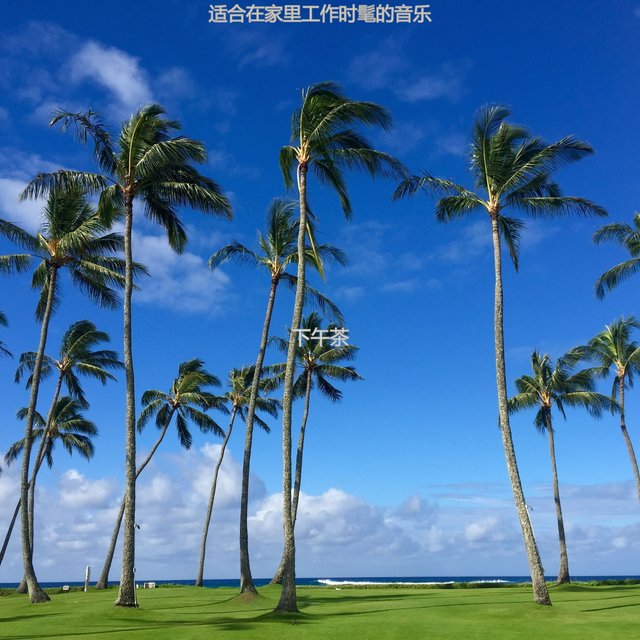 适合在家里工作时髦的音乐