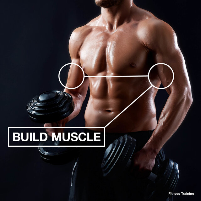 Build Muscle