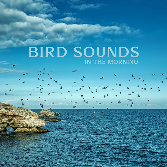 Bird Sounds in the Morning - Calm Awakening, New Dose of Energy, Nature Soothing the Senses