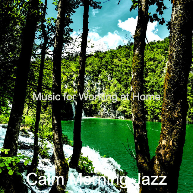 Music for Working at Home