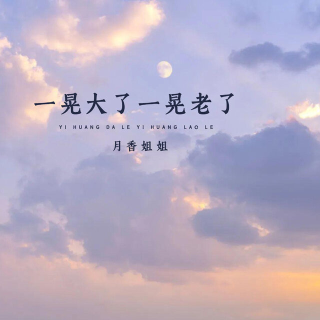 一晃大了一晃老了 (DJ默涵版)