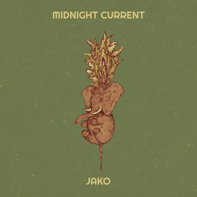 Midnight Current