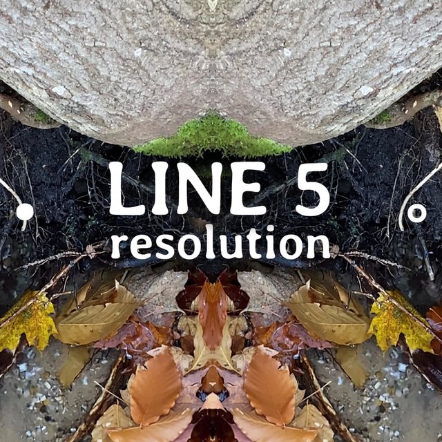Line 5 Resolution