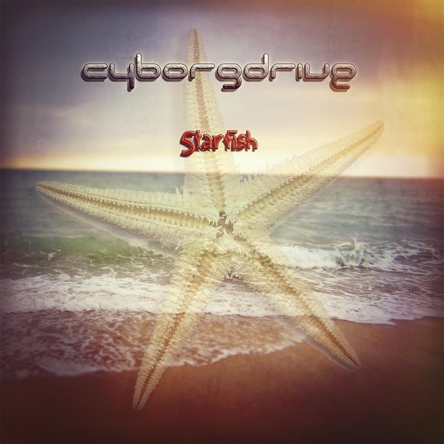 Starfish