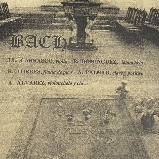 Bach Sonatas & Arias & Cantatas